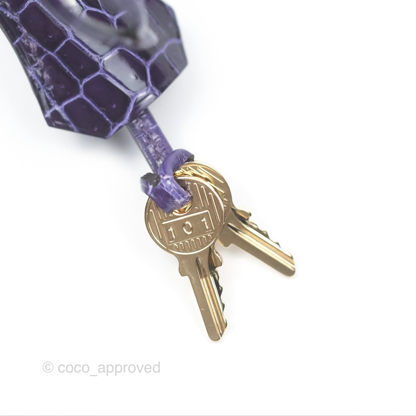 Hermès Kelly 25 Sellier Touch Anemone/ Amethyste Madame/ Croc Gold Hardware