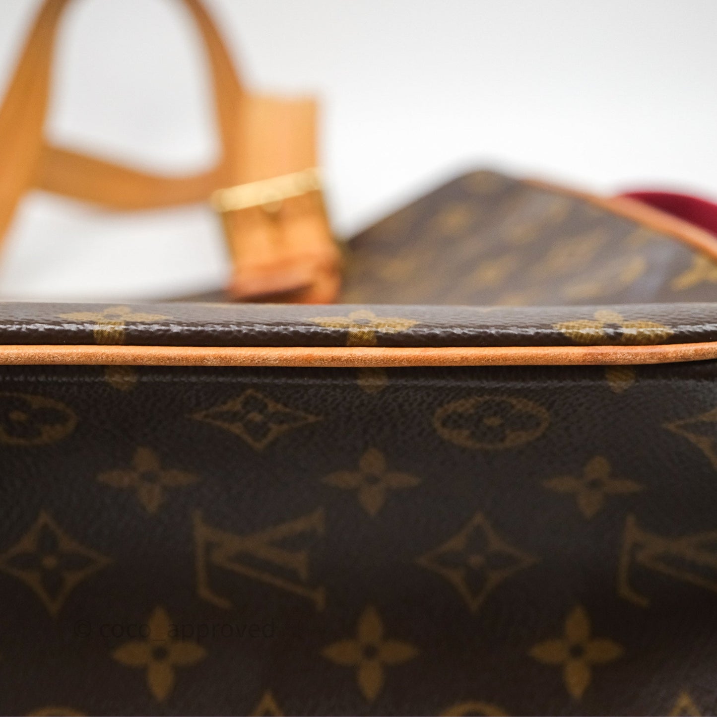 Louis Vuitton Multipli-Cite Tote Monogram Canvas