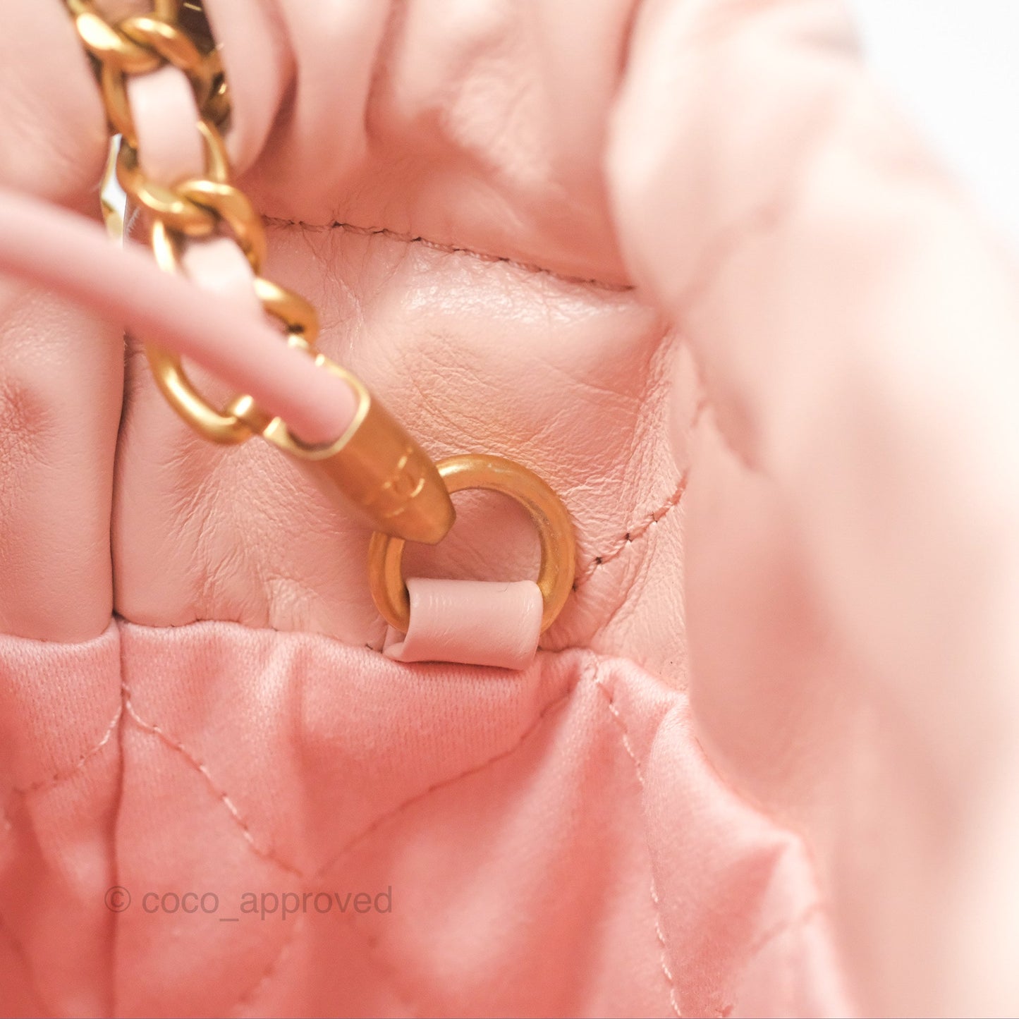 Chanel 22 Mini Bag Pink Shiny Crumpled Calfskin