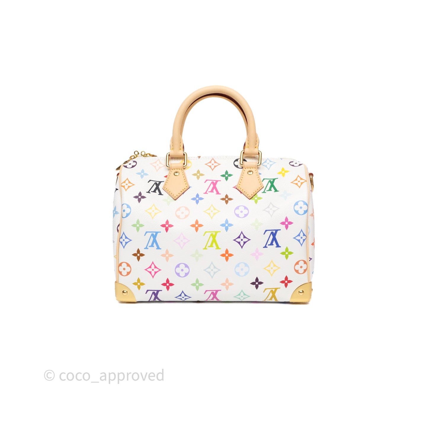 Louis Vuitton x TM Speedy Bandoulière 25