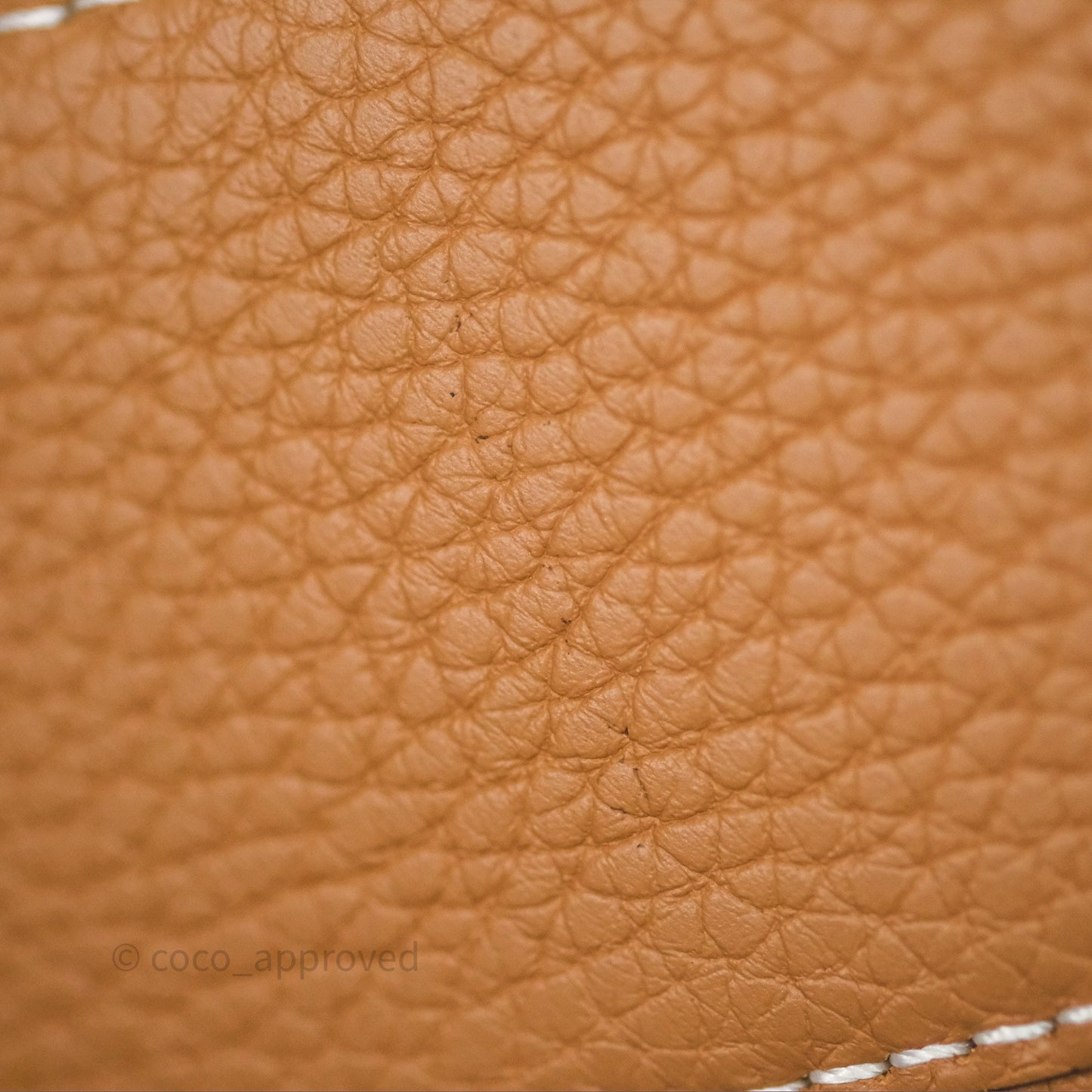 Delvaux Cool Box Nano Taurillon Soft Grained Calfskin Vegetal Ivory Gold Hardware