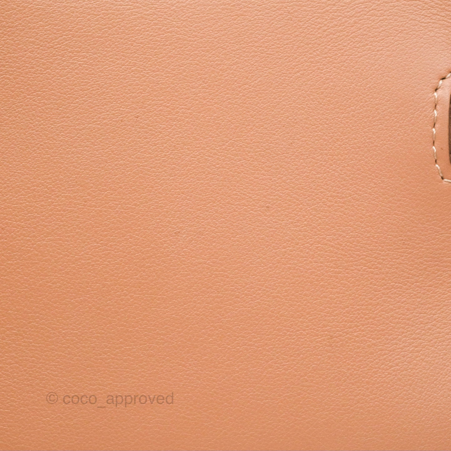 Delvaux Tempête Mini Beige Supple Calfskin Gold Hardware