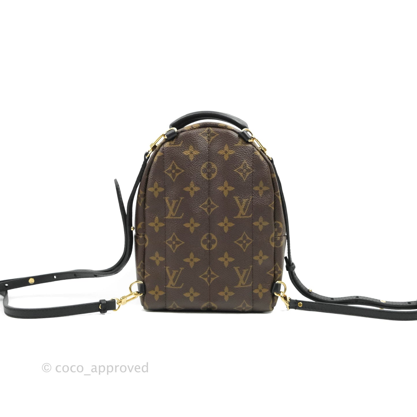 Louis Vuitton Monogram Mini Palm Springs Backpack⁣