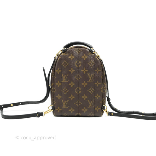 Louis Vuitton Monogram Mini Palm Springs Backpack⁣