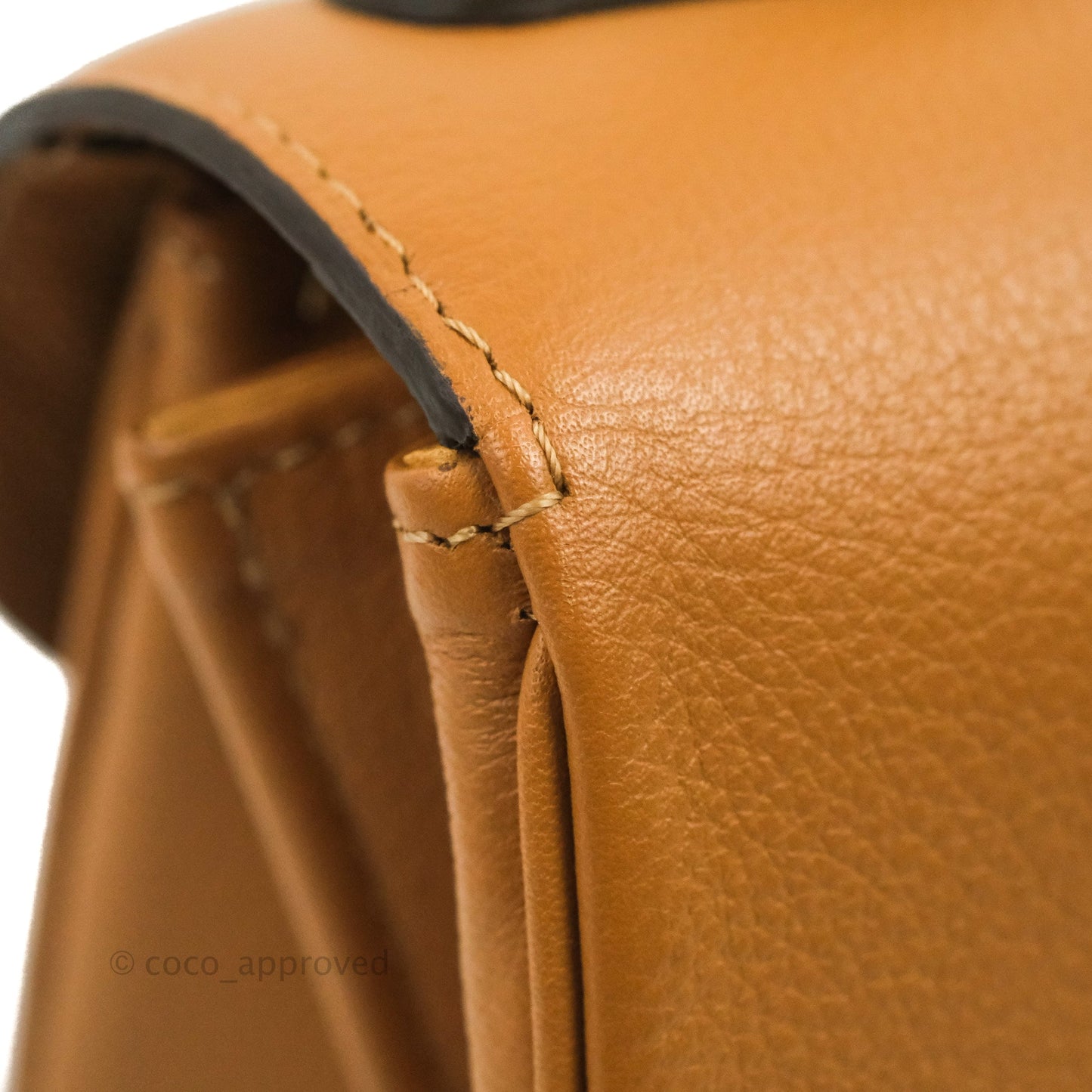 Delvaux Mini Brillant Bag Vegetal Rodeo Calf Gold Hardware