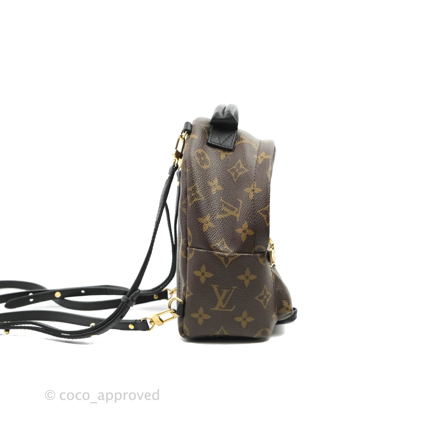 Louis Vuitton Monogram Mini Palm Springs Backpack⁣