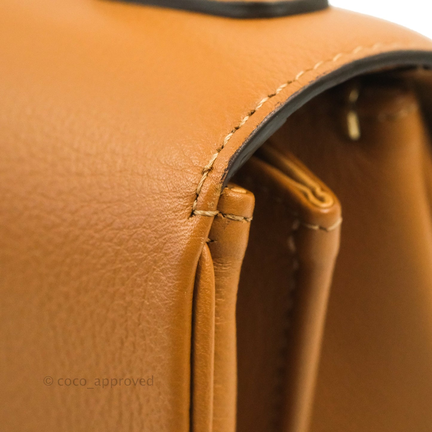 Delvaux Mini Brillant Bag Vegetal Rodeo Calf Gold Hardware
