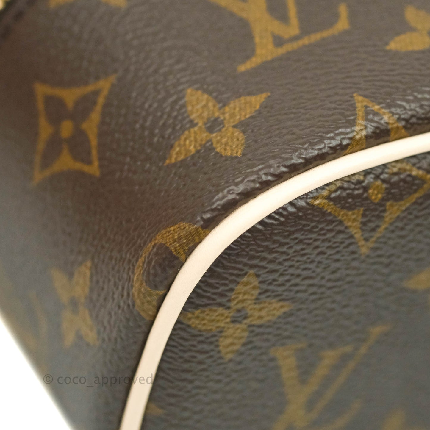 Louis Vuitton Monogram Nice Nano