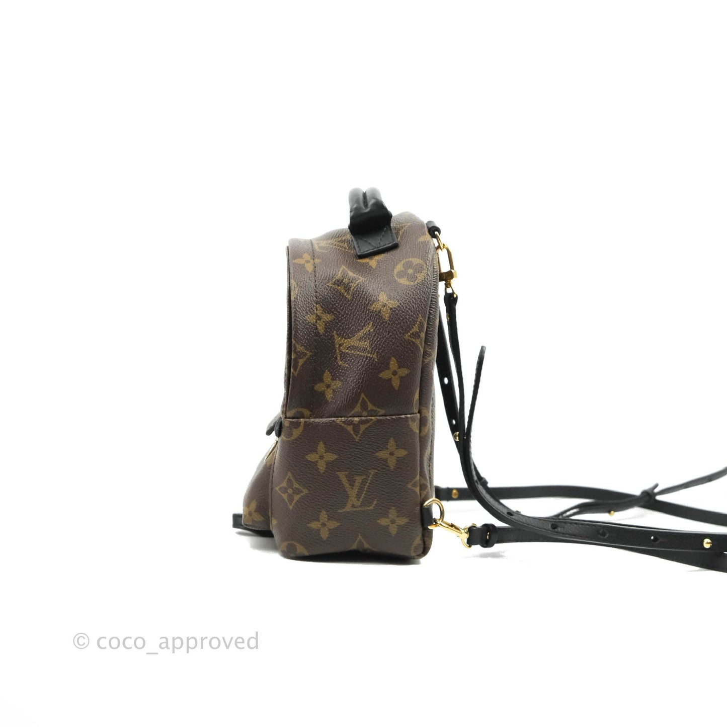 Louis Vuitton Monogram Mini Palm Springs Backpack⁣