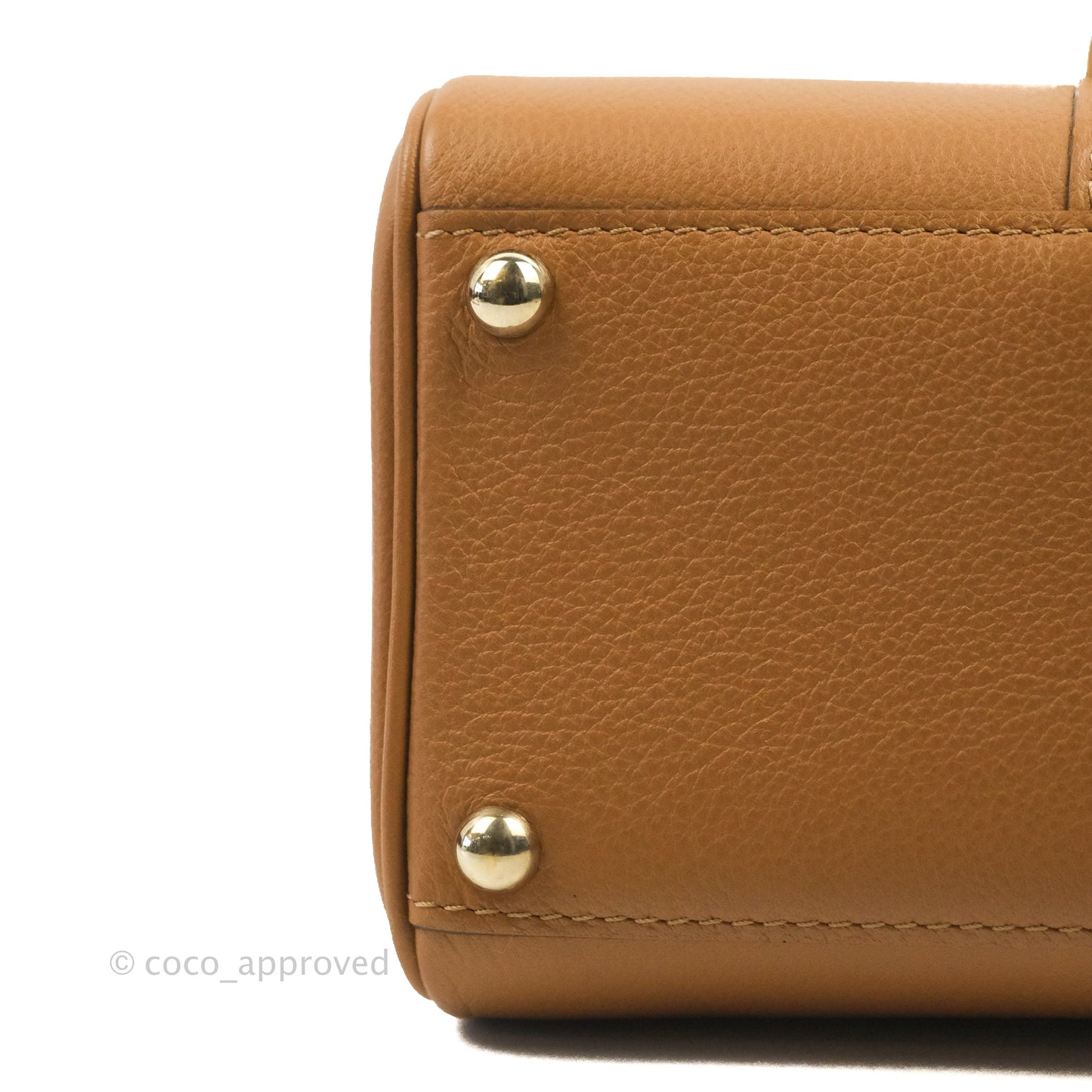 Delvaux Mini Brillant Bag Vegetal Rodeo Calf Gold Hardware