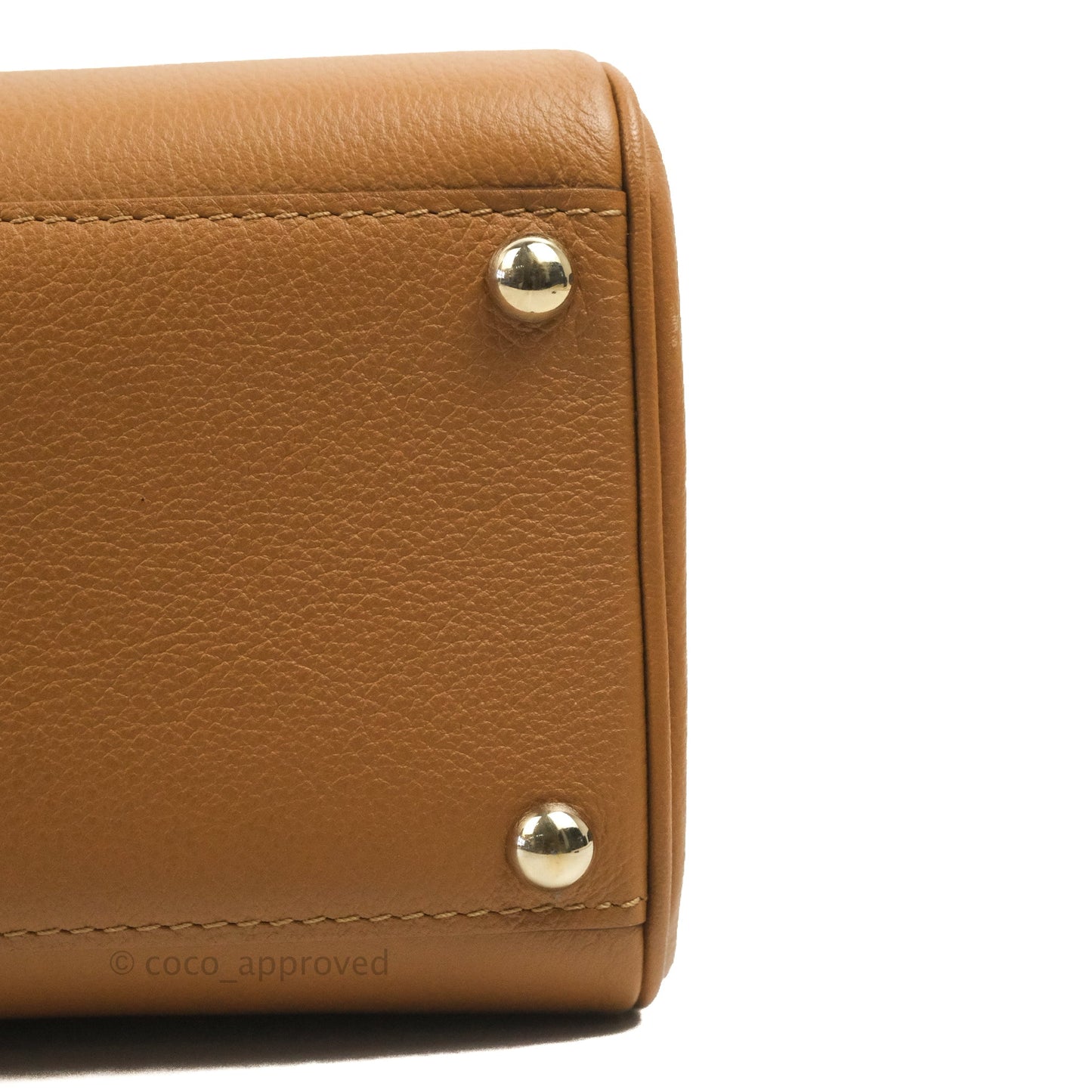 Delvaux Mini Brillant Bag Vegetal Rodeo Calf Gold Hardware