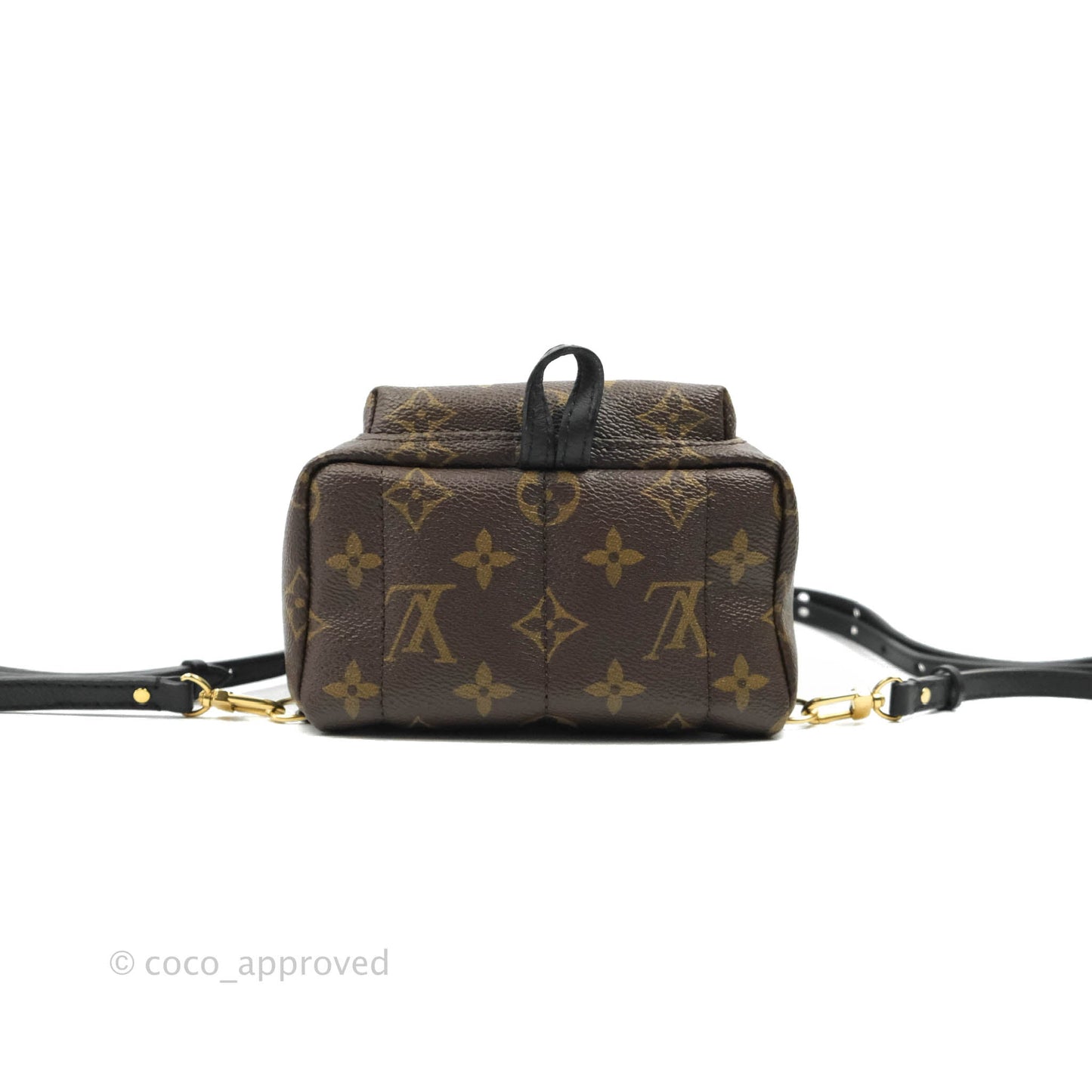 Louis Vuitton Monogram Mini Palm Springs Backpack⁣