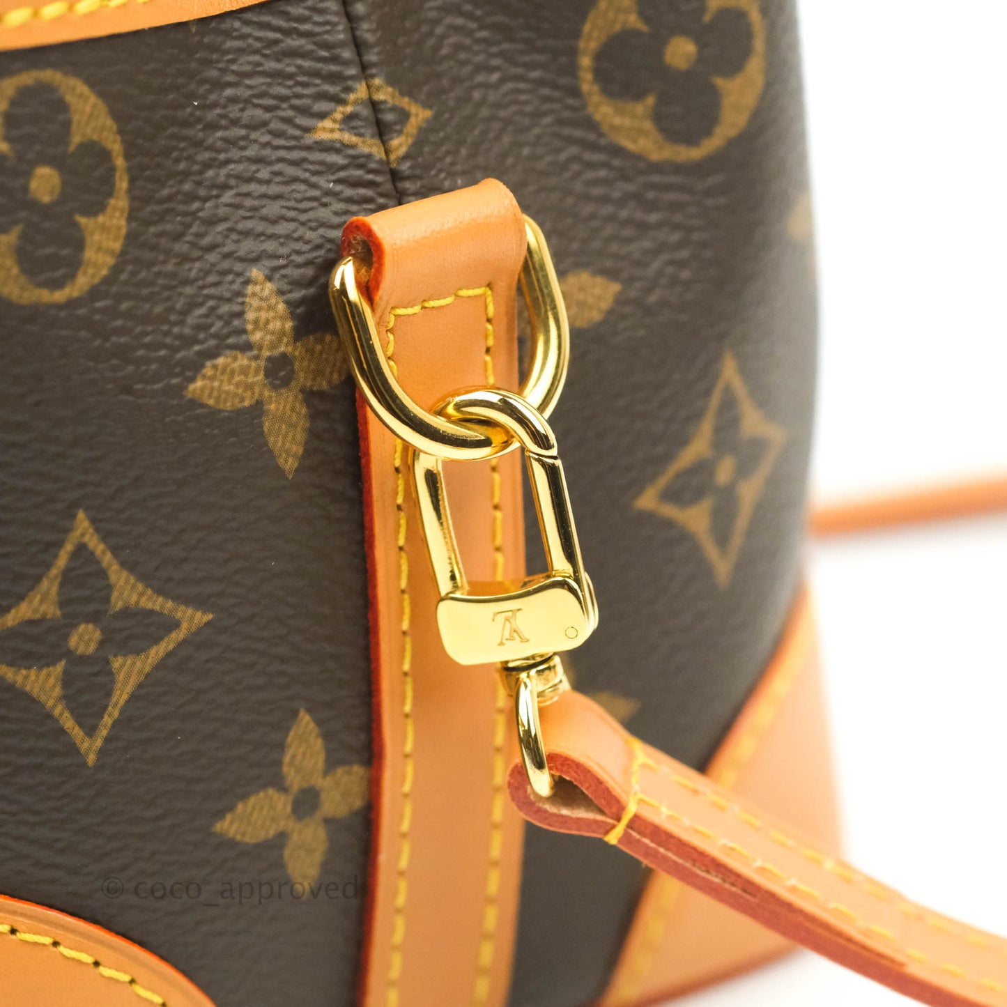 Louis Vuitton Monogram Noé Purse