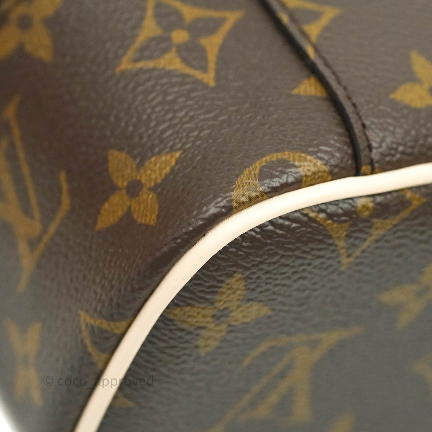 Louis Vuitton Monogram Nice Nano