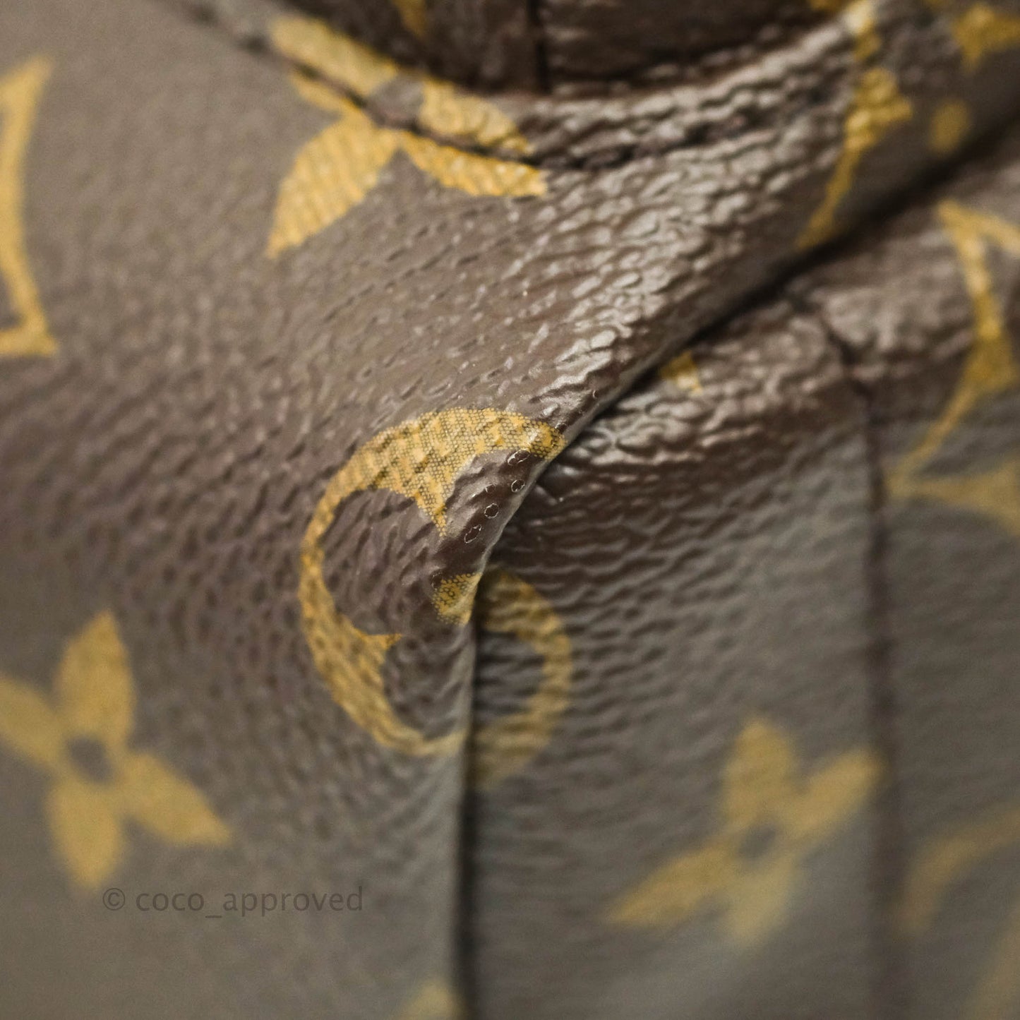 Louis Vuitton Monogram Mini Palm Springs Backpack⁣