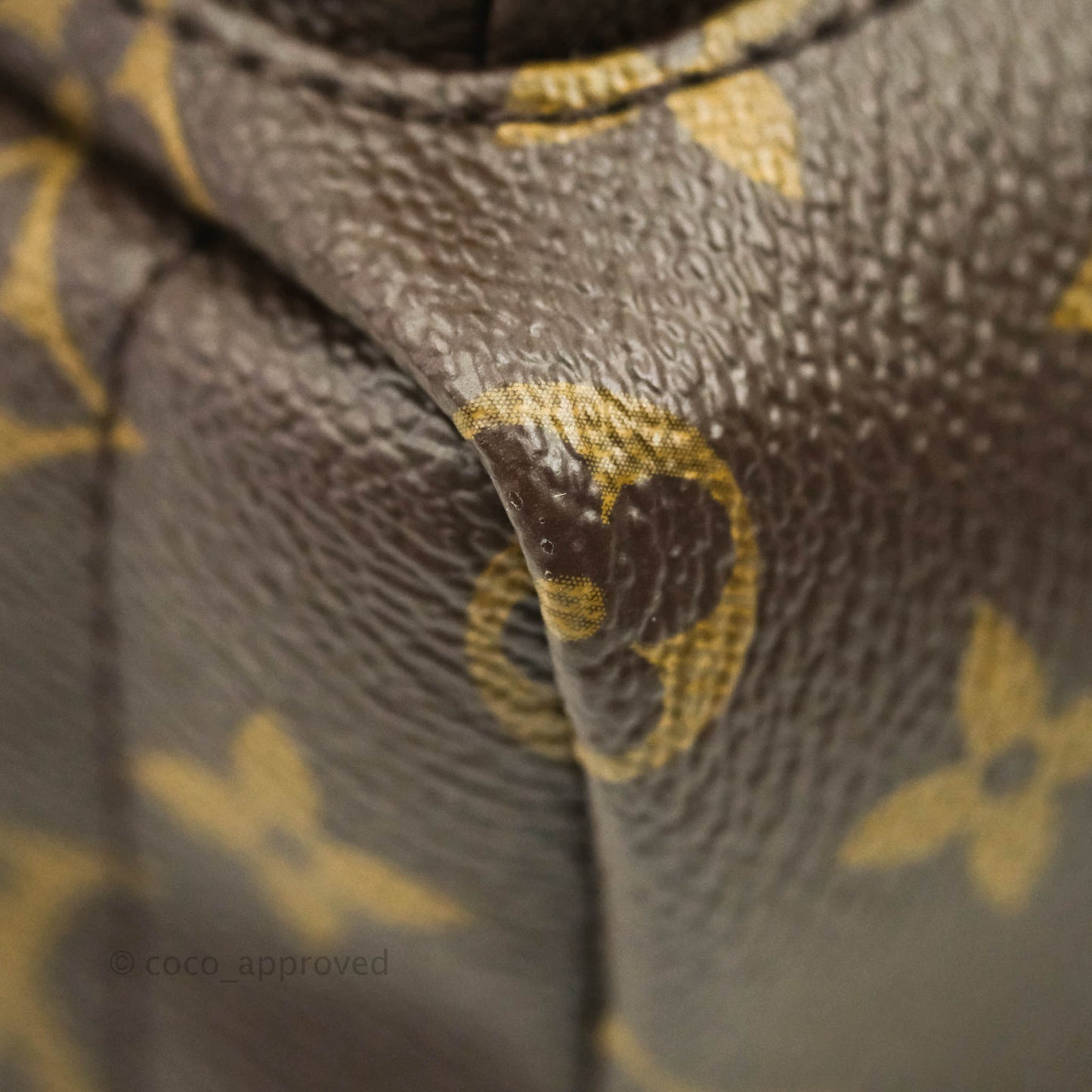 Louis Vuitton Monogram Mini Palm Springs Backpack⁣
