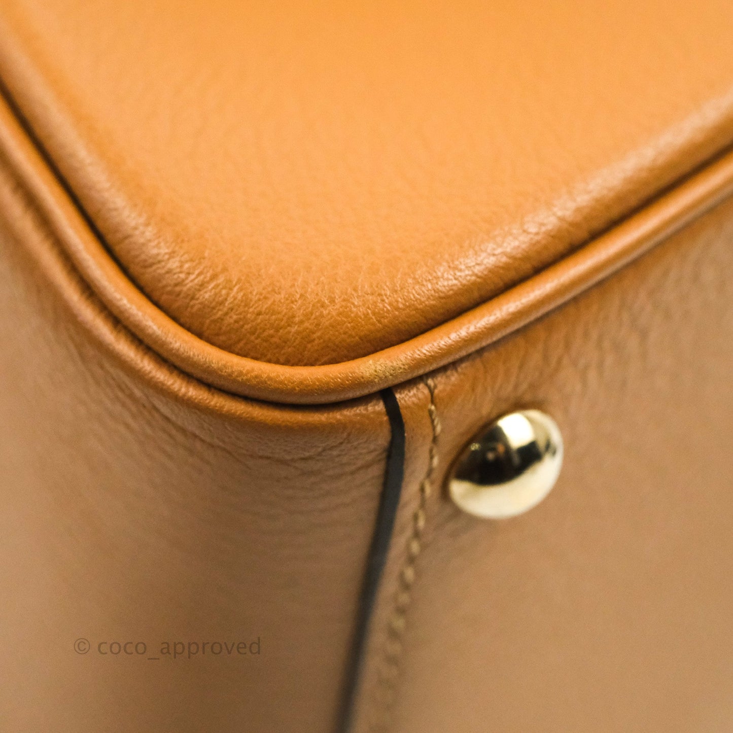 Delvaux Mini Brillant Bag Vegetal Rodeo Calf Gold Hardware
