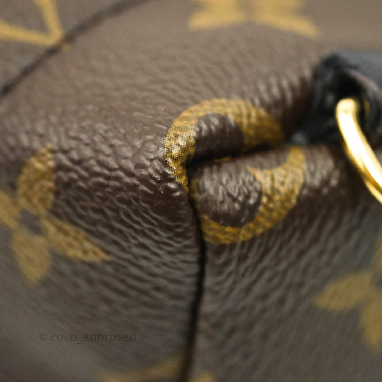 Louis Vuitton Monogram Mini Palm Springs Backpack⁣
