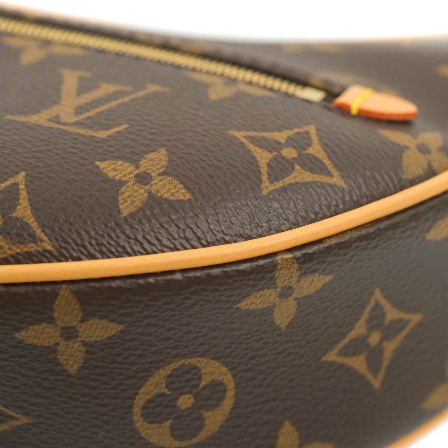 Louis Vuitton Monogram Loop