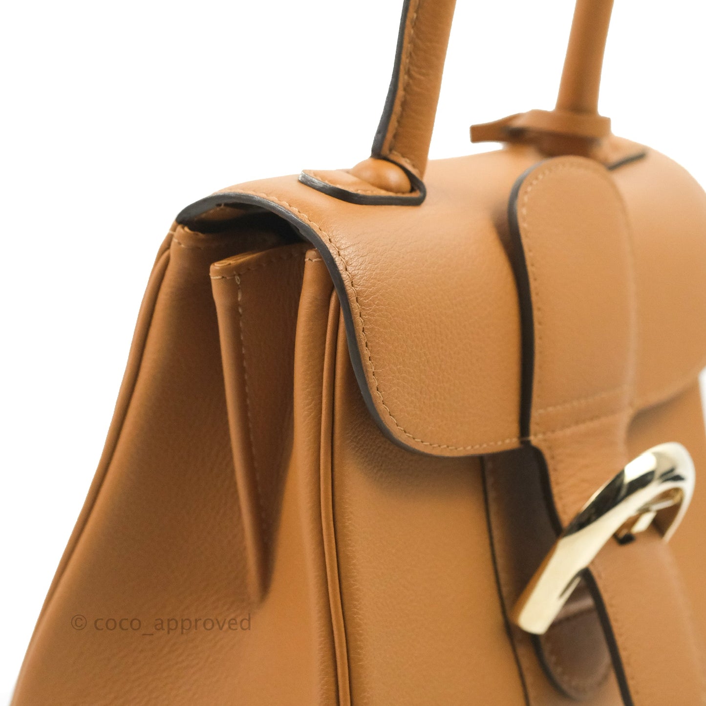 Delvaux Mini Brillant Bag Vegetal Rodeo Calf Gold Hardware