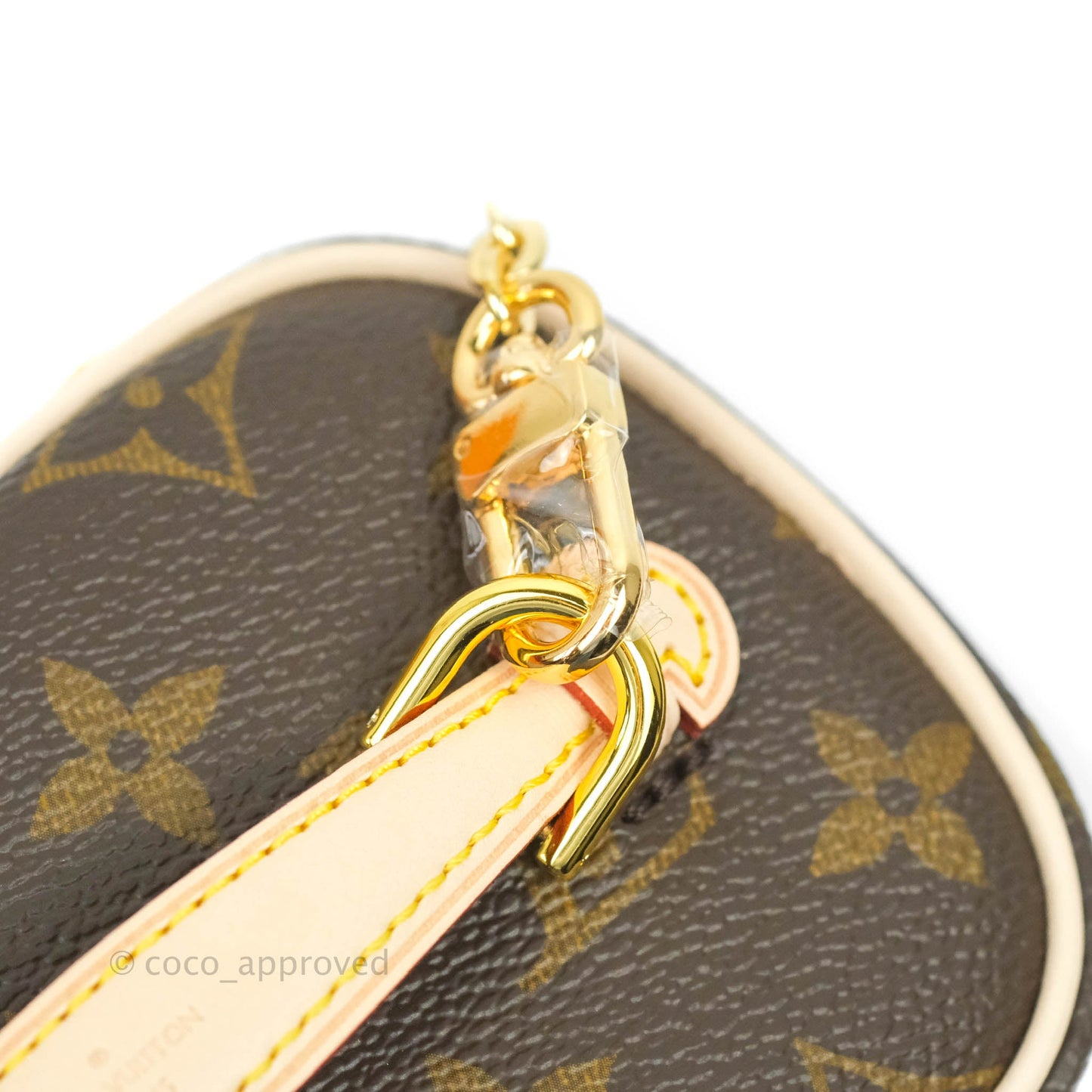 Louis Vuitton Monogram Nice Nano