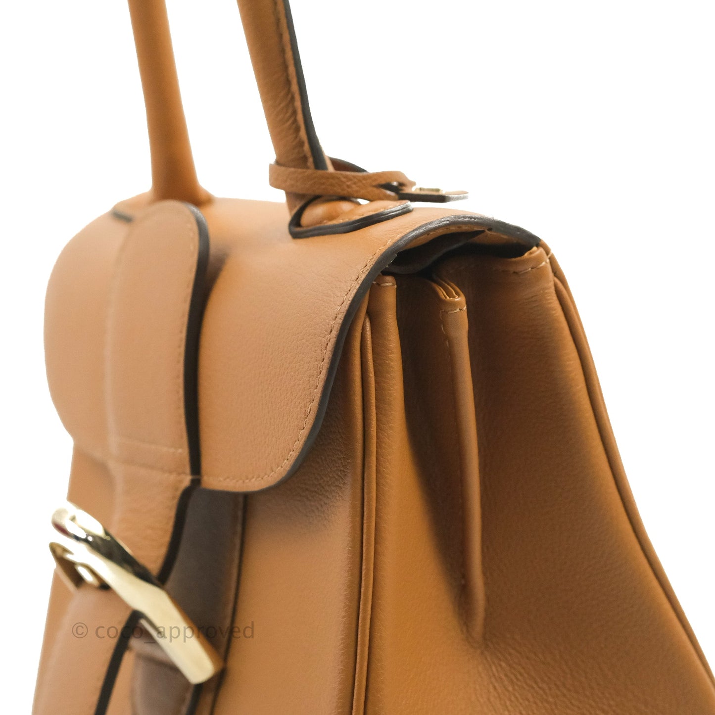Delvaux Mini Brillant Bag Vegetal Rodeo Calf Gold Hardware