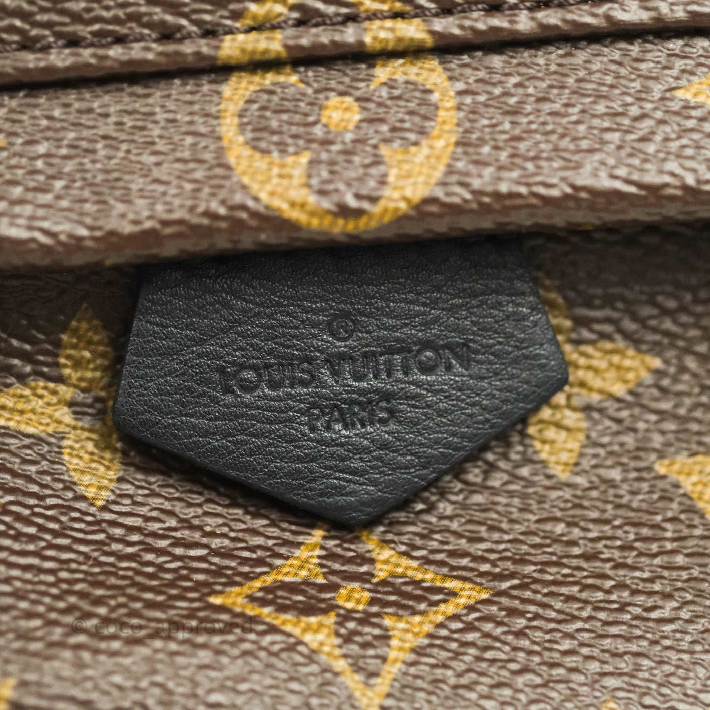 Louis Vuitton Monogram Mini Palm Springs Backpack⁣