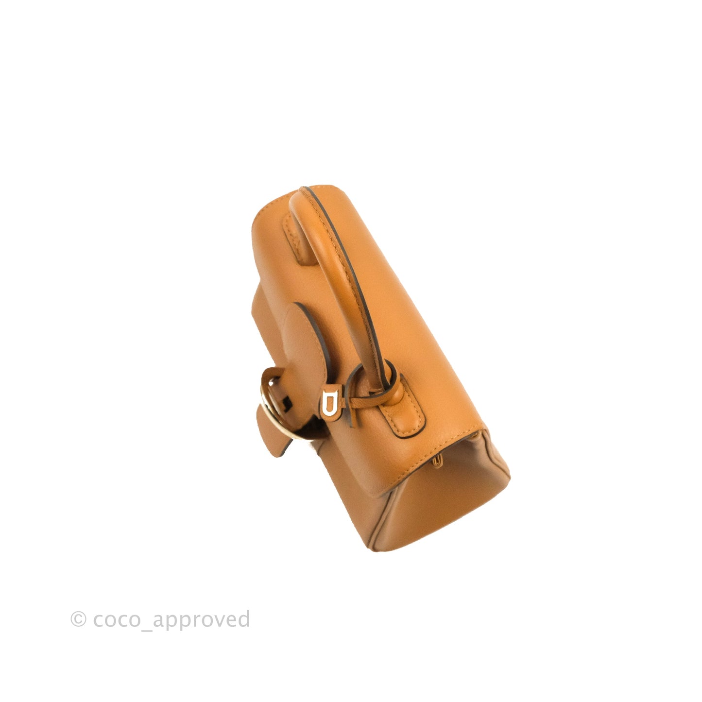 Delvaux Mini Brillant Bag Vegetal Rodeo Calf Gold Hardware