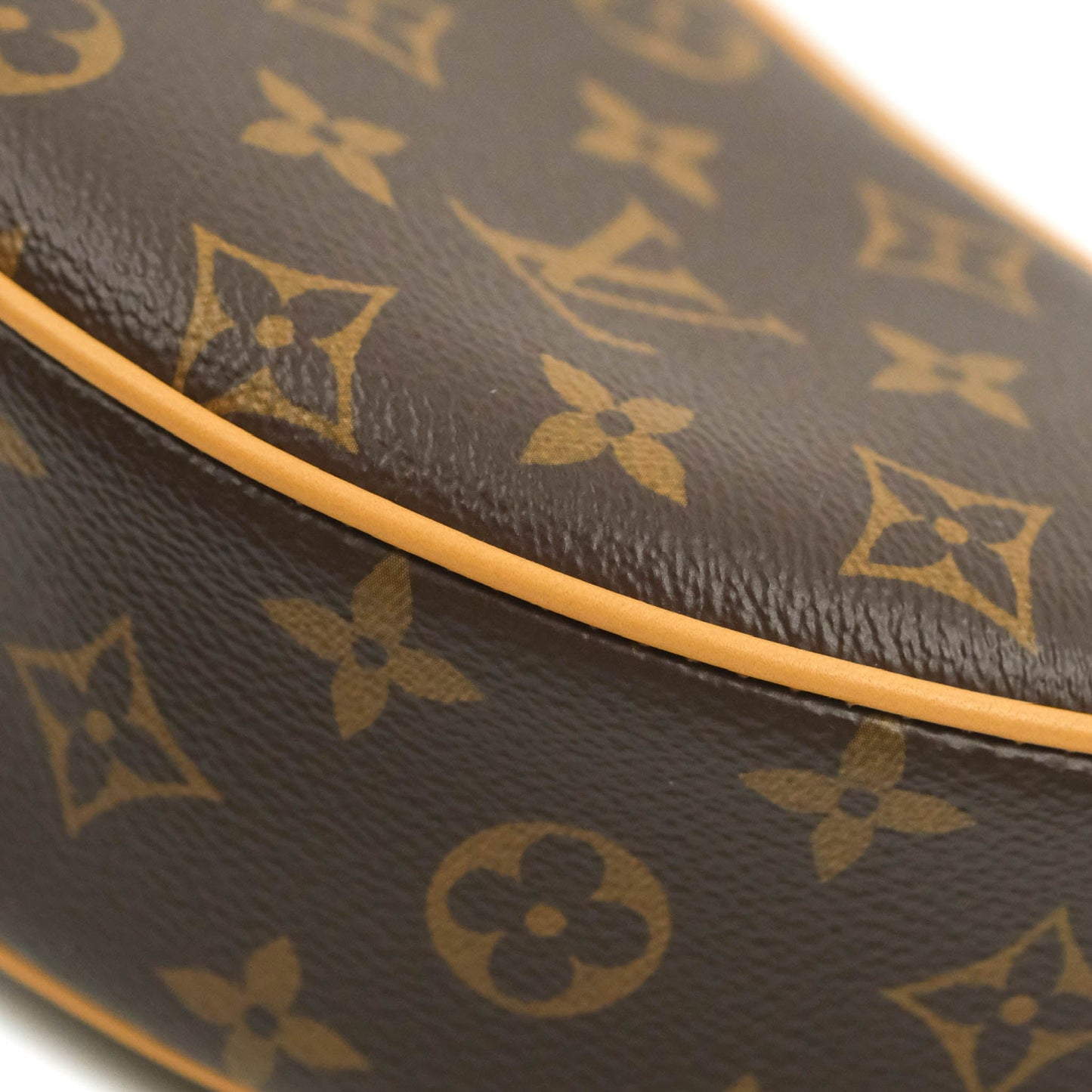 Louis Vuitton Monogram Loop