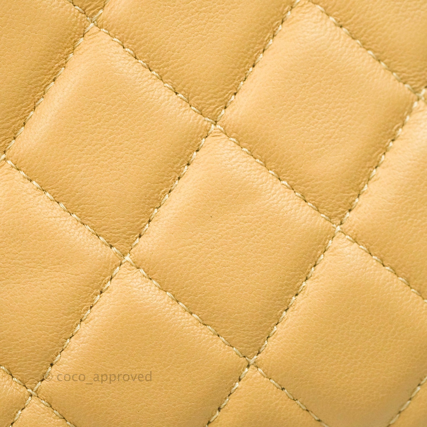 Chanel Calfskin Coco Vintage Camera Case Beige Gold Hardware