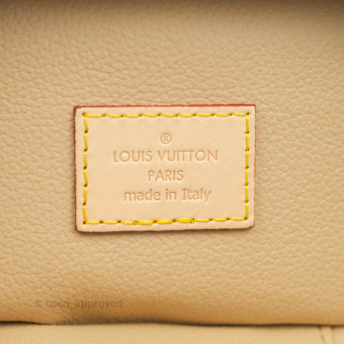 Louis Vuitton Monogram Nice Nano