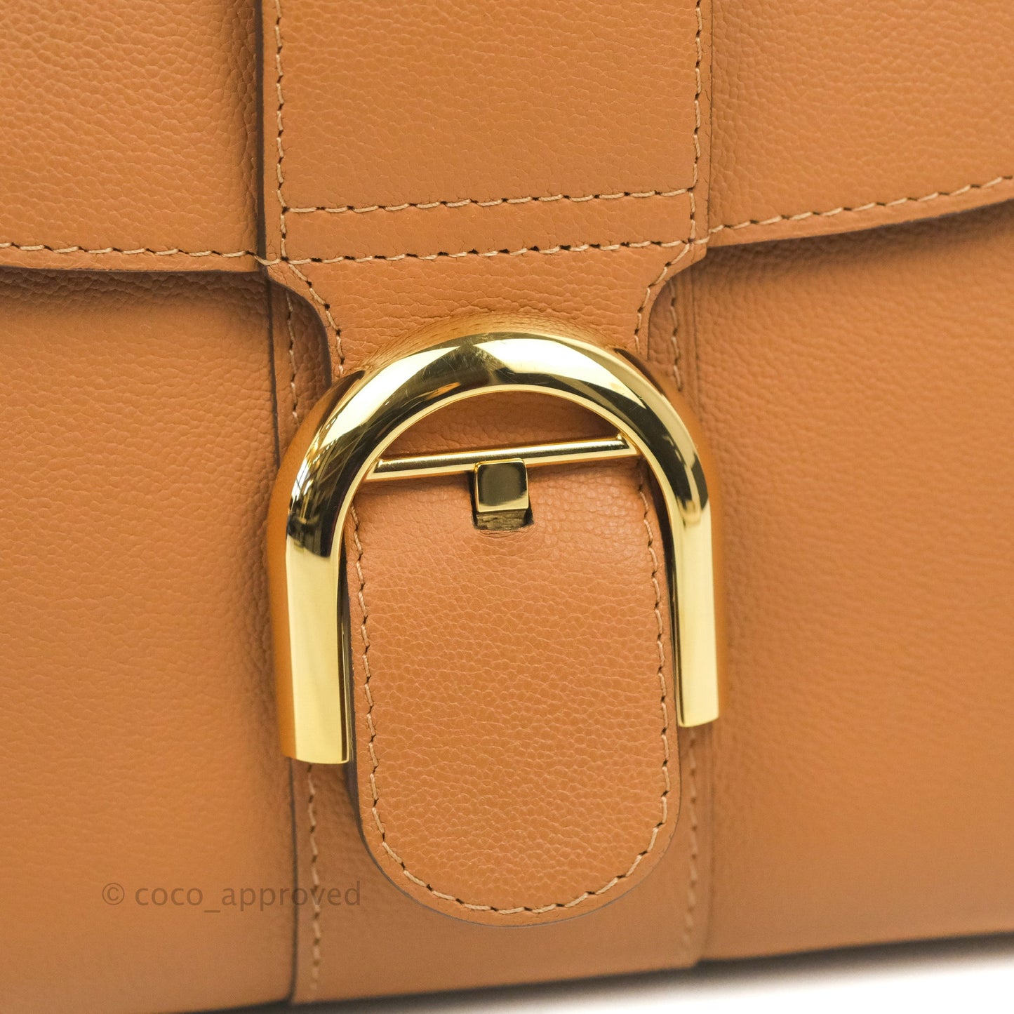 Delvaux Mini Brillant Bag Vegetal Rodeo Calf Gold Hardware