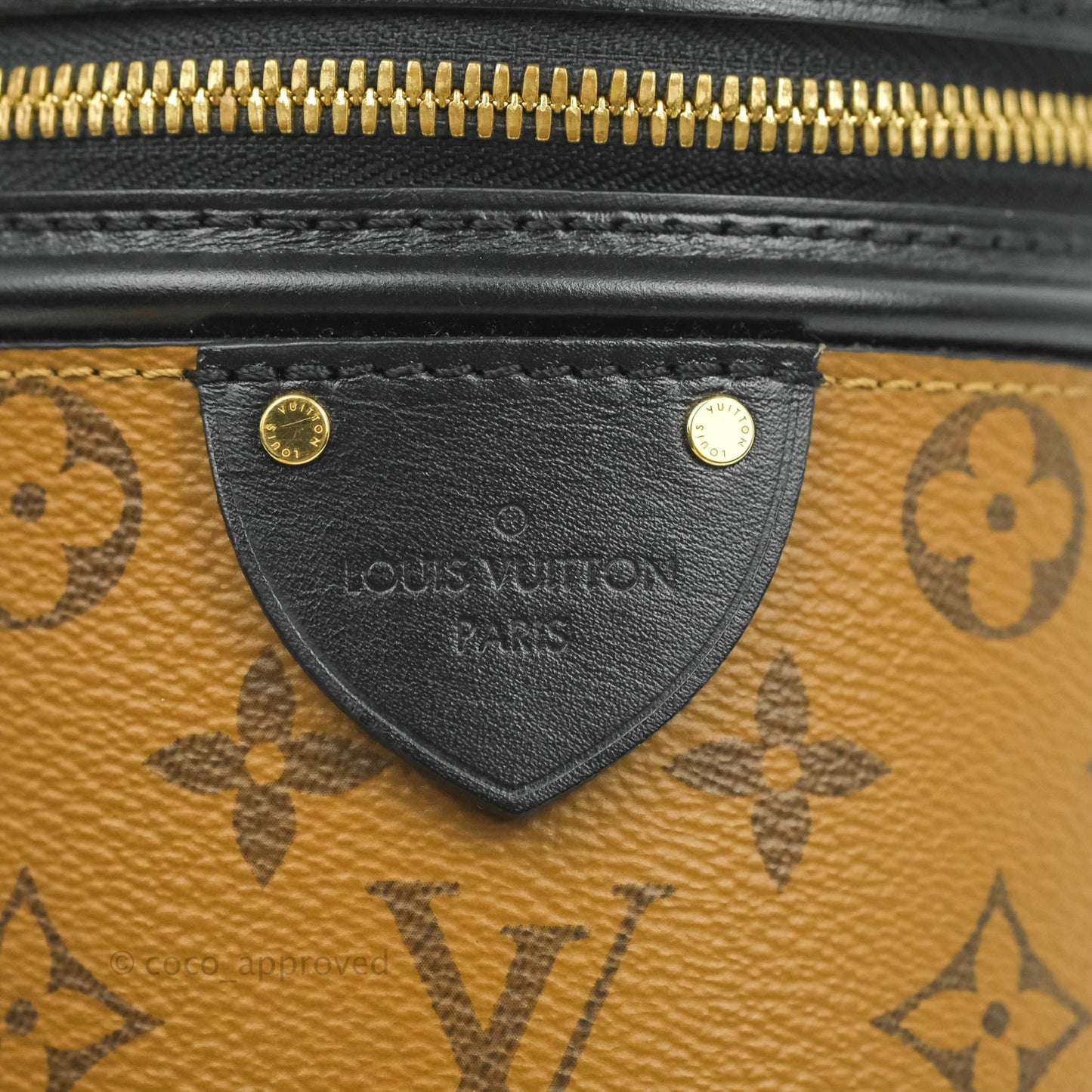 Louis Vuitton Monogram Canvas Reverse Cannes Bag