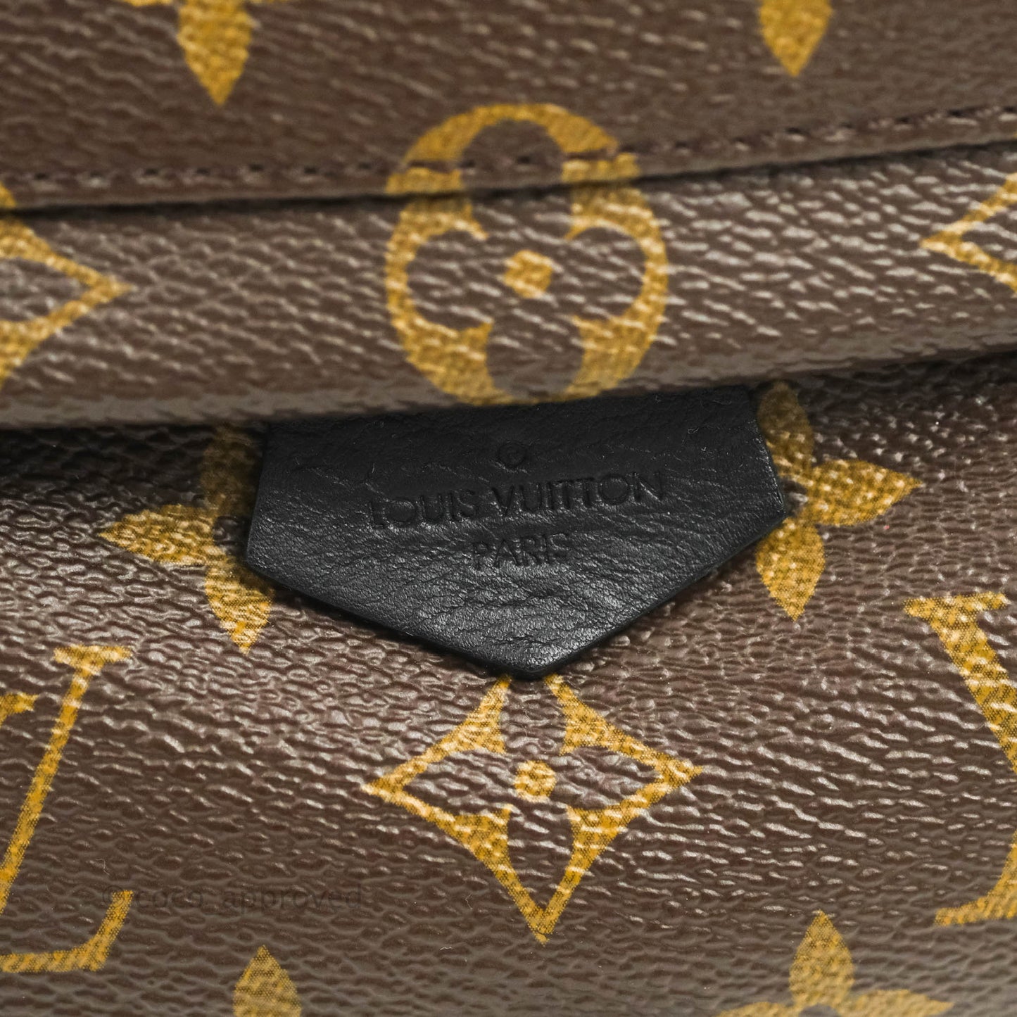 Louis Vuitton Monogram Mini Palm Springs Backpack⁣