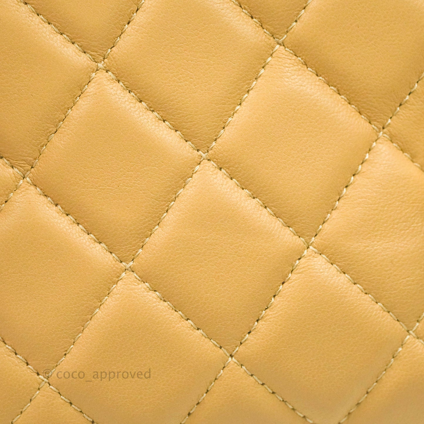 Chanel Calfskin Coco Vintage Camera Case Beige Gold Hardware