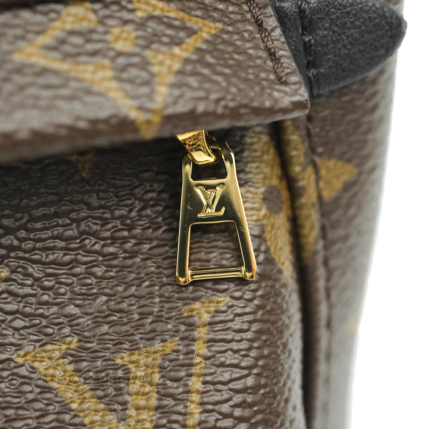Louis Vuitton Monogram Mini Palm Springs Backpack⁣