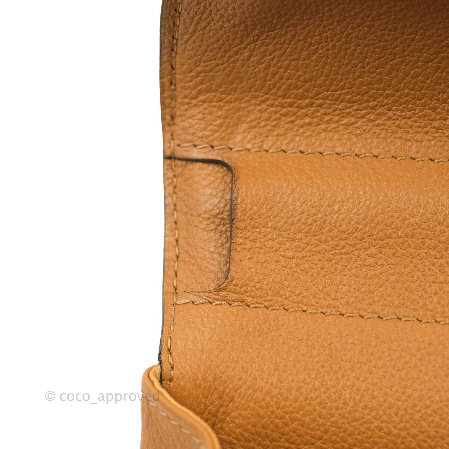 Delvaux Mini Brillant Bag Vegetal Rodeo Calf Gold Hardware