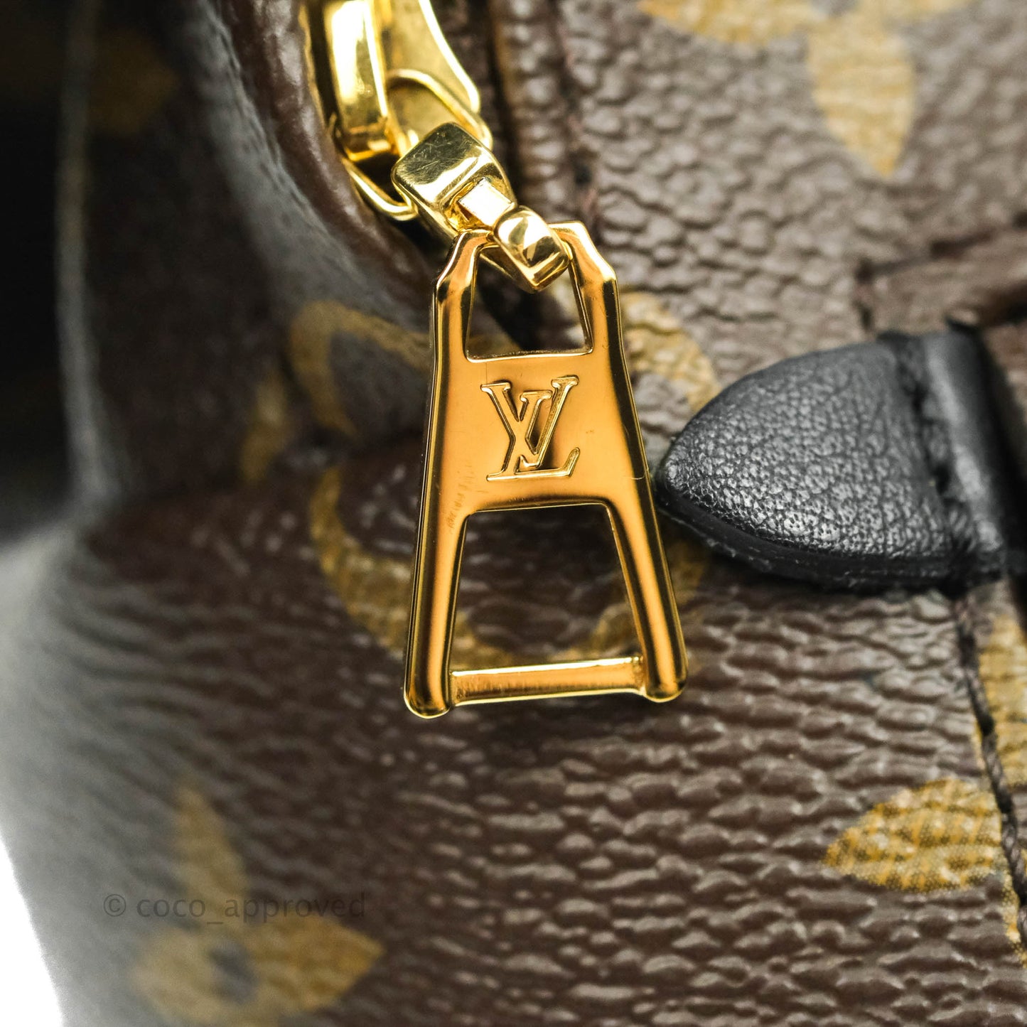 Louis Vuitton Monogram Mini Palm Springs Backpack⁣