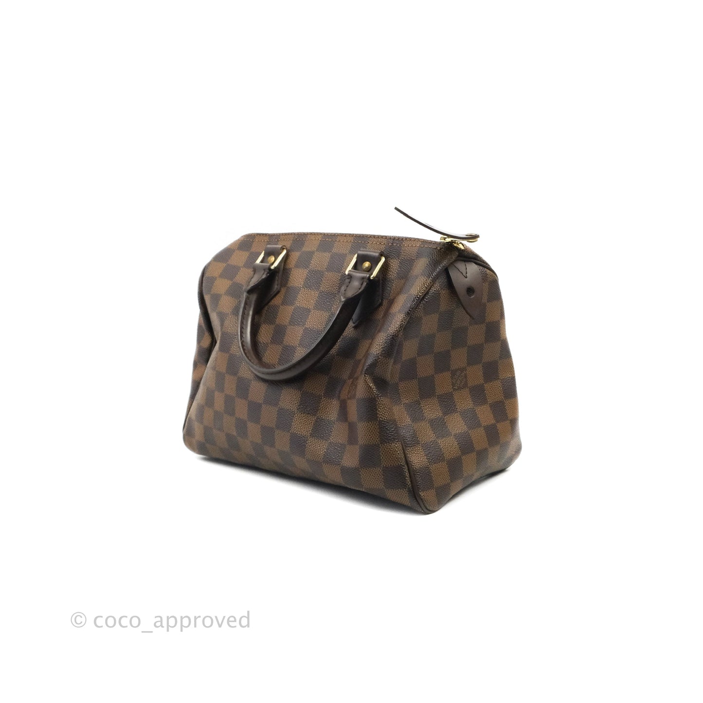 Louis Vuitton Speedy 25 Damier Canvas