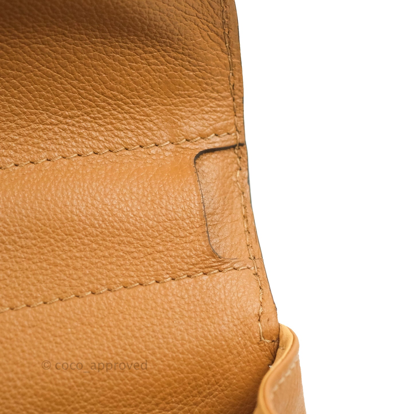 Delvaux Mini Brillant Bag Vegetal Rodeo Calf Gold Hardware