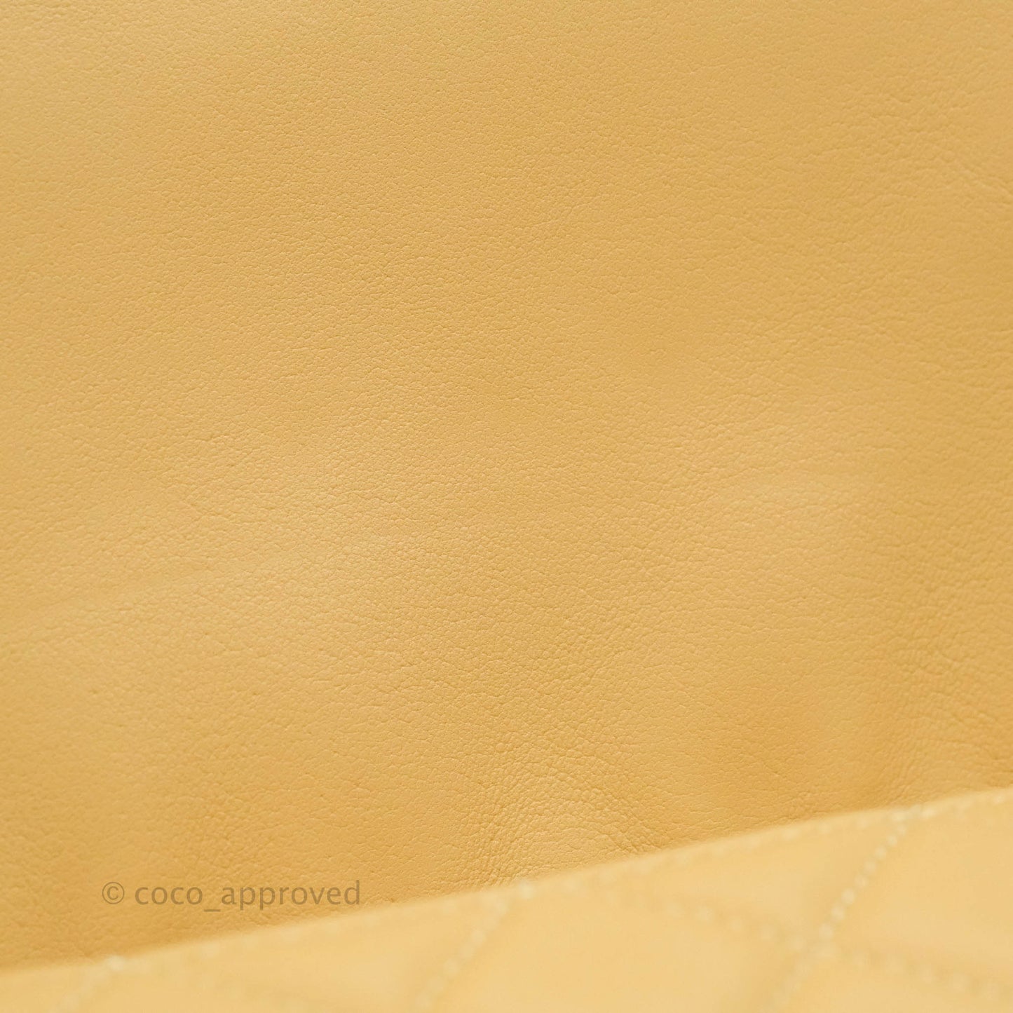 Chanel Calfskin Coco Vintage Camera Case Beige Gold Hardware