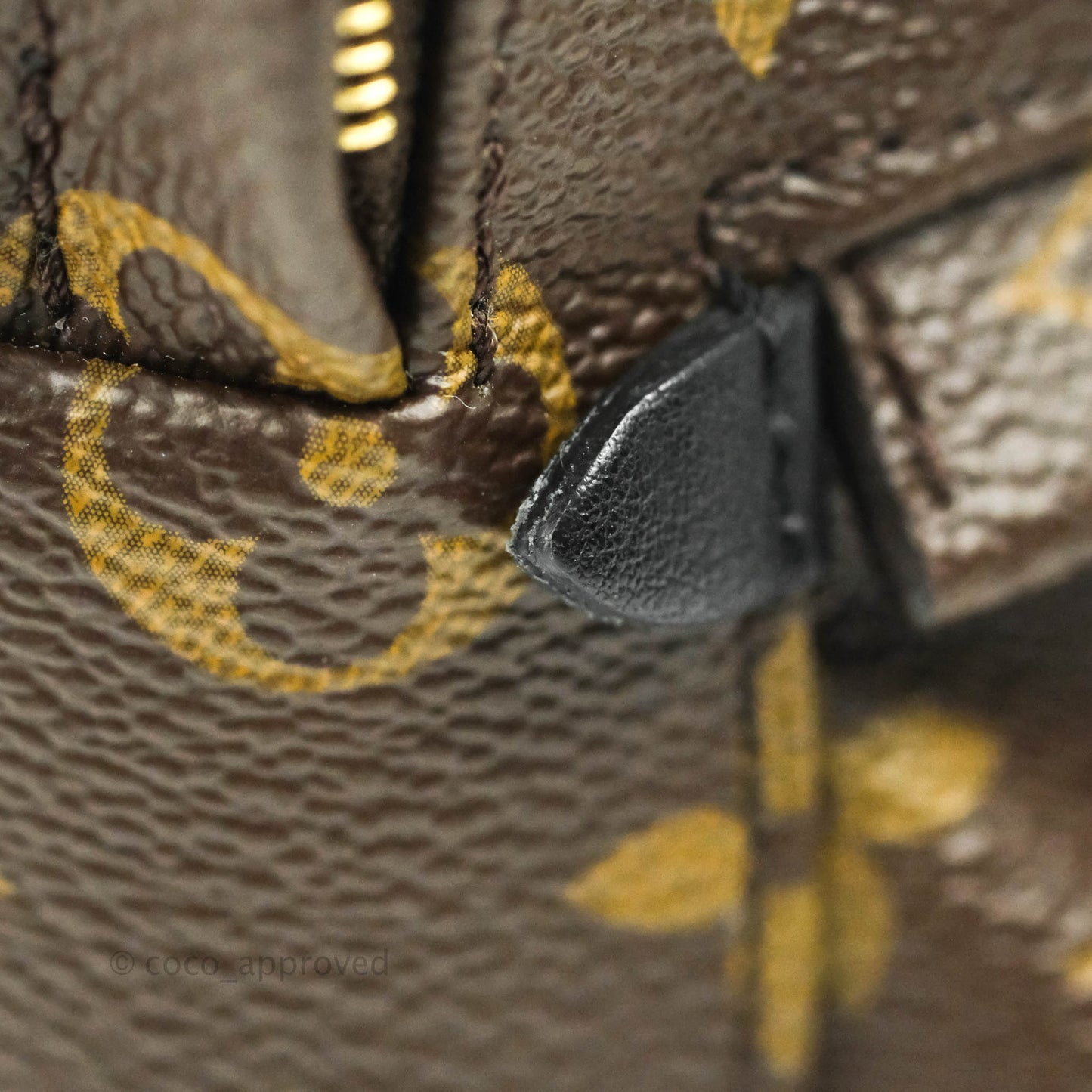 Louis Vuitton Monogram Mini Palm Springs Backpack⁣