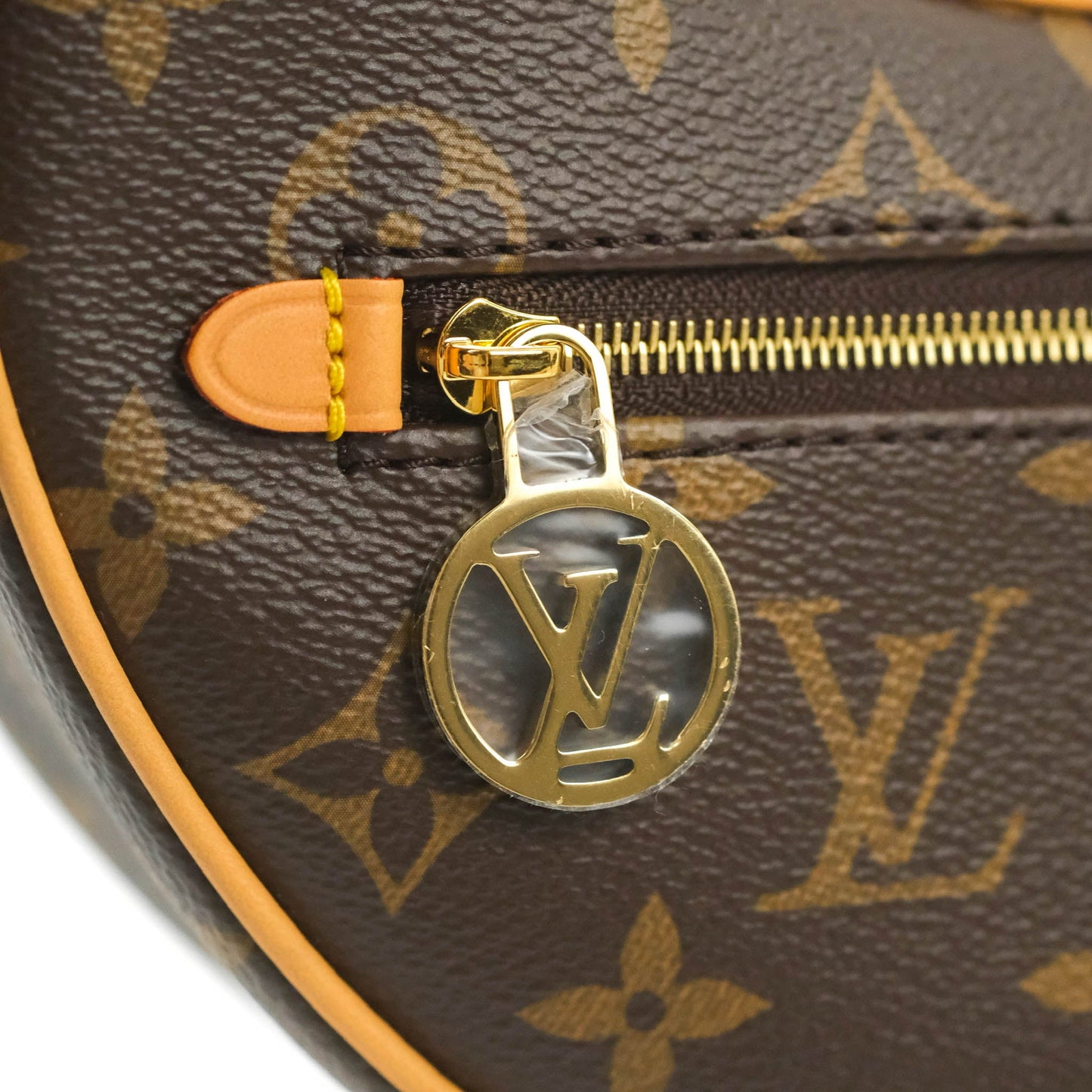 Louis Vuitton Monogram Loop