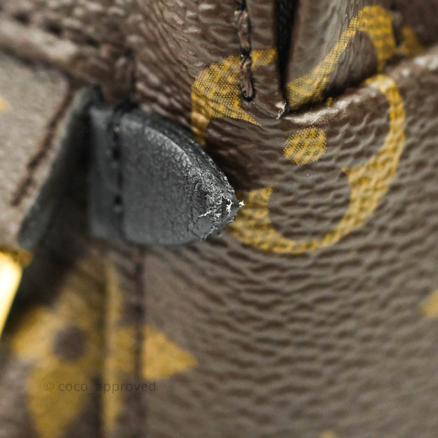 Louis Vuitton Monogram Mini Palm Springs Backpack⁣