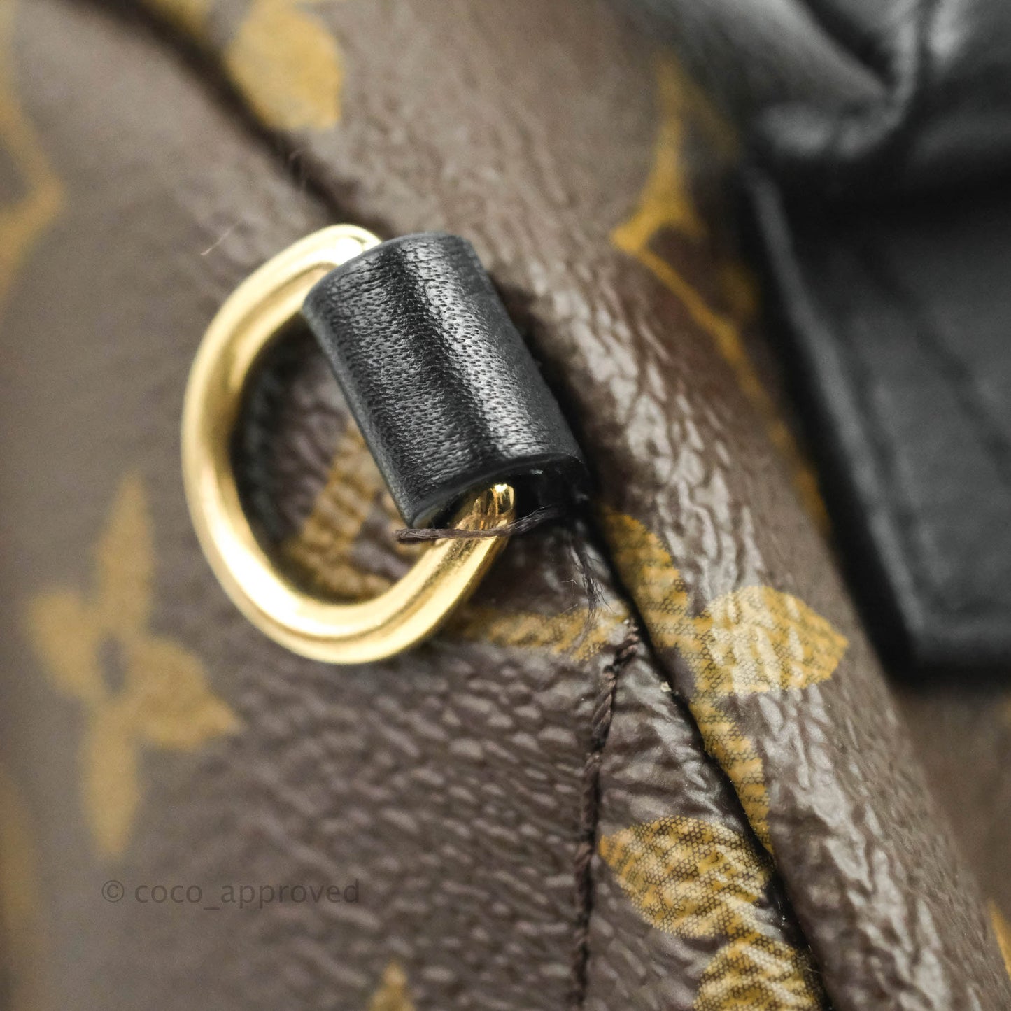 Louis Vuitton Monogram Mini Palm Springs Backpack⁣