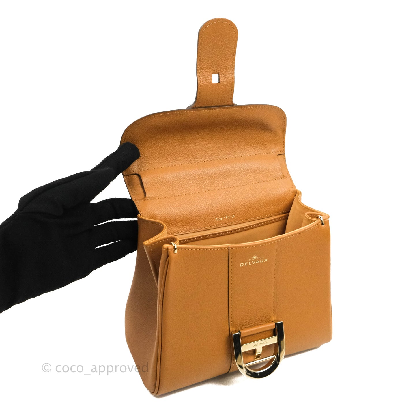 Delvaux Mini Brillant Bag Vegetal Rodeo Calf Gold Hardware