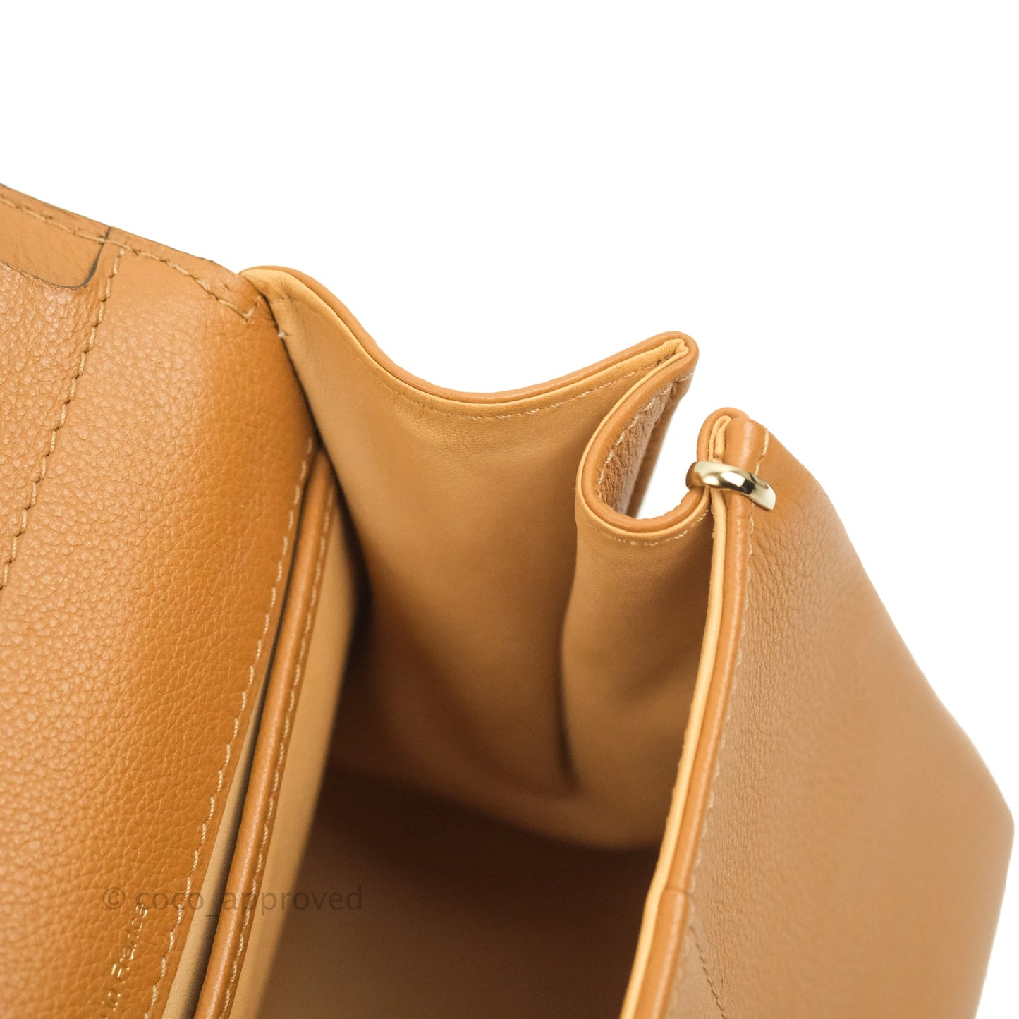 Delvaux Mini Brillant Bag Vegetal Rodeo Calf Gold Hardware