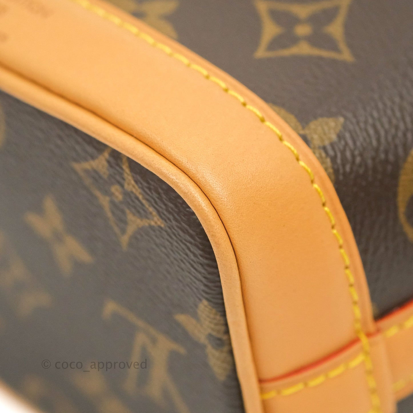 Louis Vuitton Monogram Nano Noe