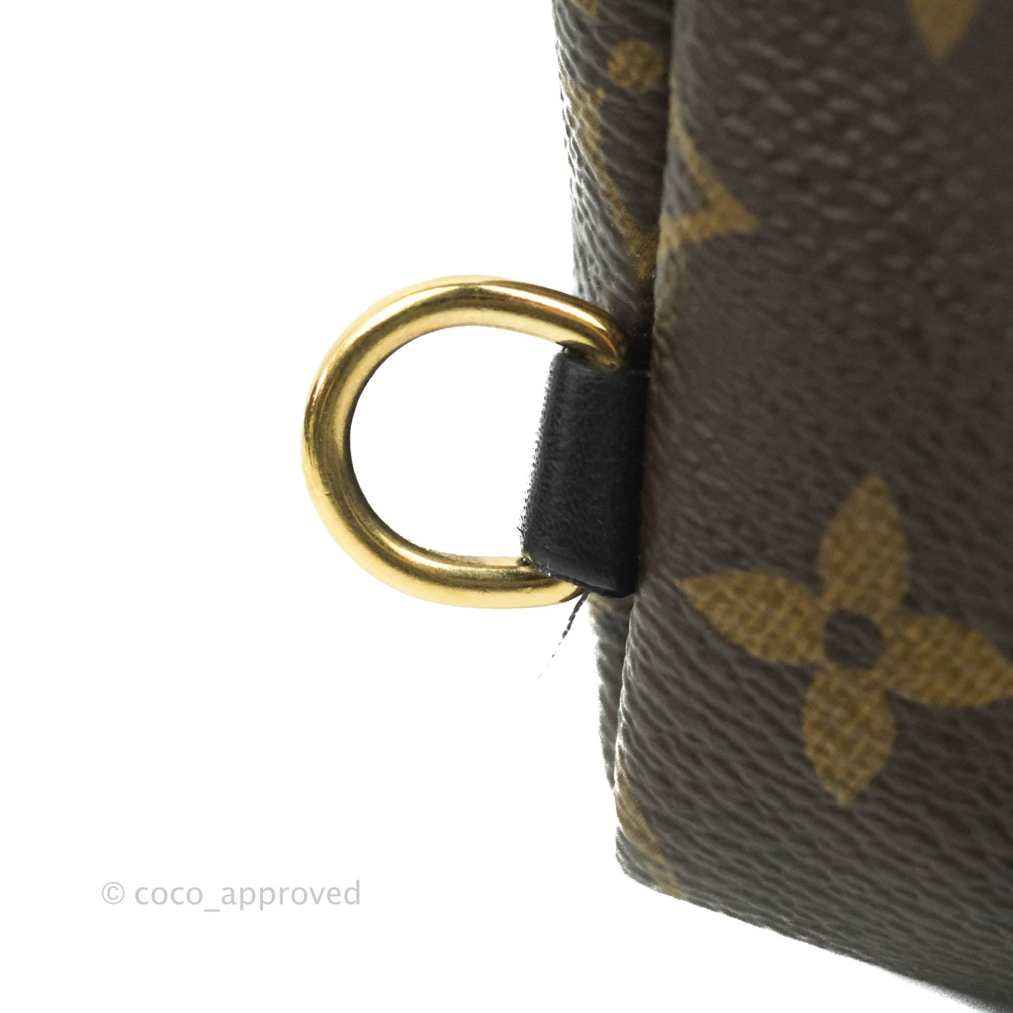 Louis Vuitton Monogram Mini Palm Springs Backpack⁣