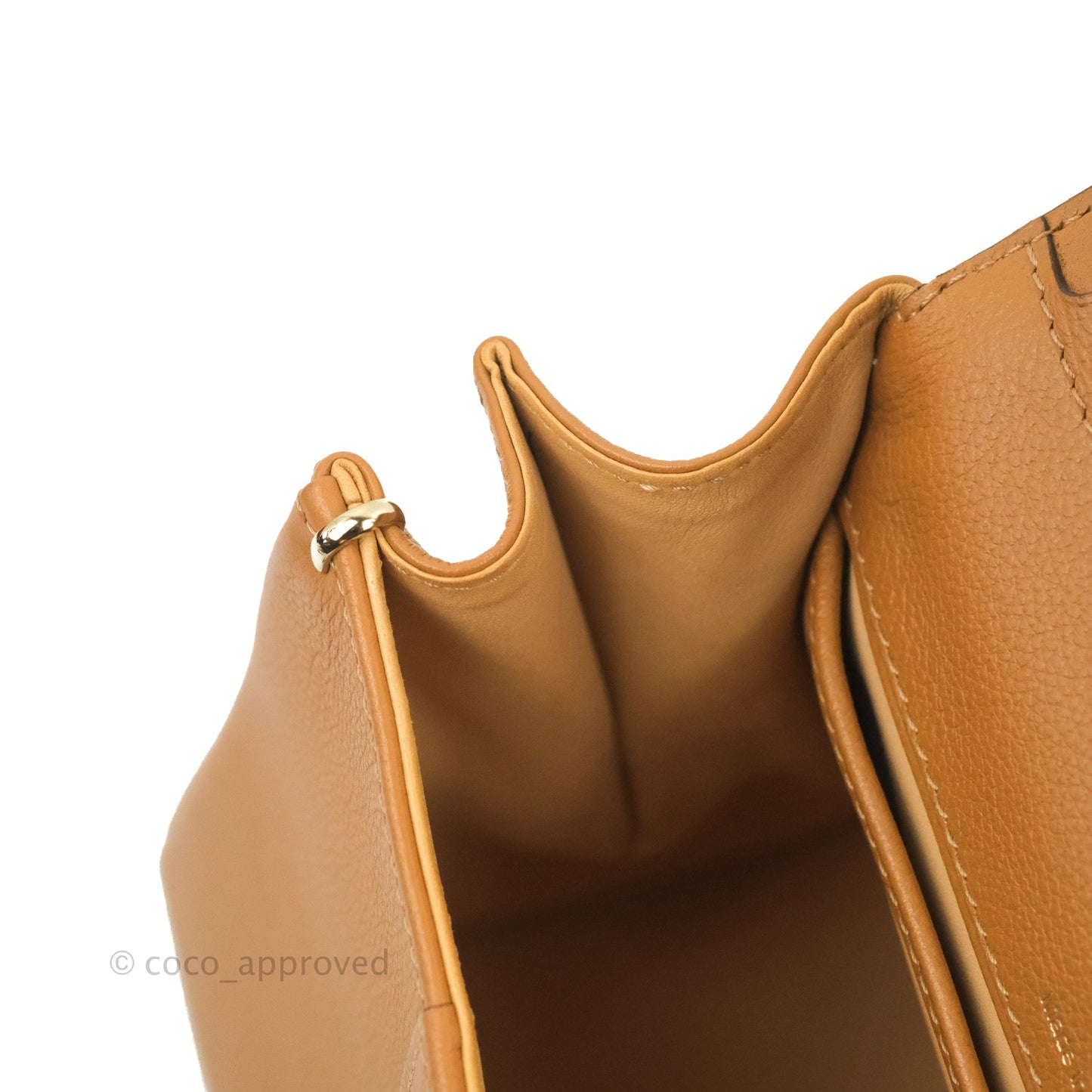 Delvaux Mini Brillant Bag Vegetal Rodeo Calf Gold Hardware
